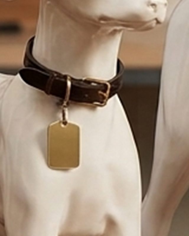 Sample Dog Collar, detail (illustrative image)