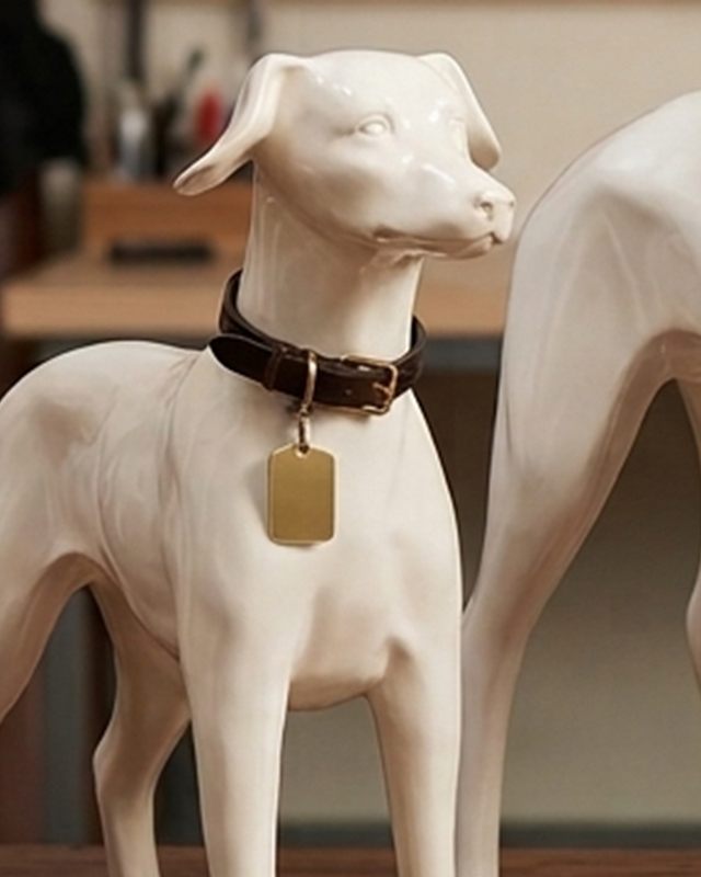 Sample Dog Collar (illustrative image)