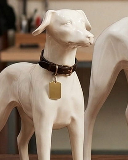 Sample Dog Collar (illustrative image)