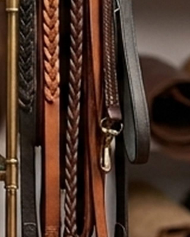 Sample Dog Lead, detail (illustrative image)