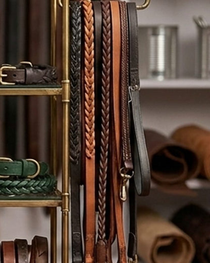 Sample Dog Lead (illustrative image)